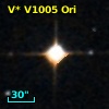 V* V1005 Ori