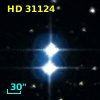 HD  31124