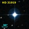 HD  31919