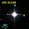 HD  31169