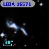 LEDA   16571