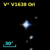 V* V1638 Ori