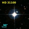 HD  31100