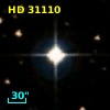 HD  31110