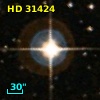 HD  31424