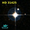 HD  31425