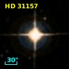 HD  31157
