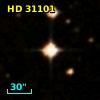 HD  31101