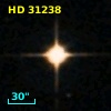 HD  31238