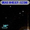 IRAS 04517-1230
