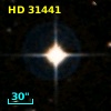HD  31441