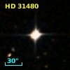HD  31480