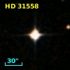 HD  31558