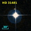 HD  31481