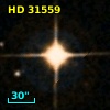 HD  31559