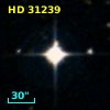 HD  31239