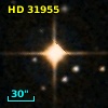 HD  31955