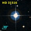 HD  31516