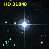 HD  31848