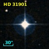 HD  31901