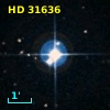 HD  31636