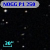 NOGG P1  250