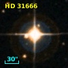 HD  31666