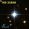 HD  31836