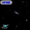 APMBGC 485-121-099