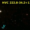 HVC 222.8-34.2+113