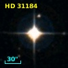 HD  31184