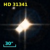 HD  31341