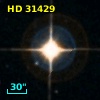 HD  31429