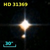 HD  31369