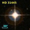HD  31445