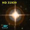 HD  31939