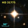 HD  31775