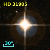 HD  31905