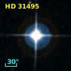 HD  31495