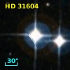 HD  31604