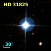 HD  31825