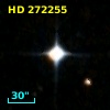 HD 272255