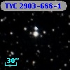 TYC 2903-688-1