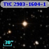 TYC 2903-1604-1