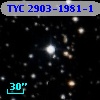 TYC 2903-1981-1