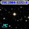 TYC 2904-1272-1