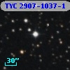 TYC 2907-1037-1