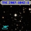 TYC 2907-1042-1