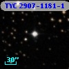 TYC 2907-1181-1