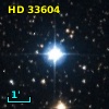 HD  33604